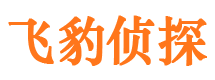 广平市侦探